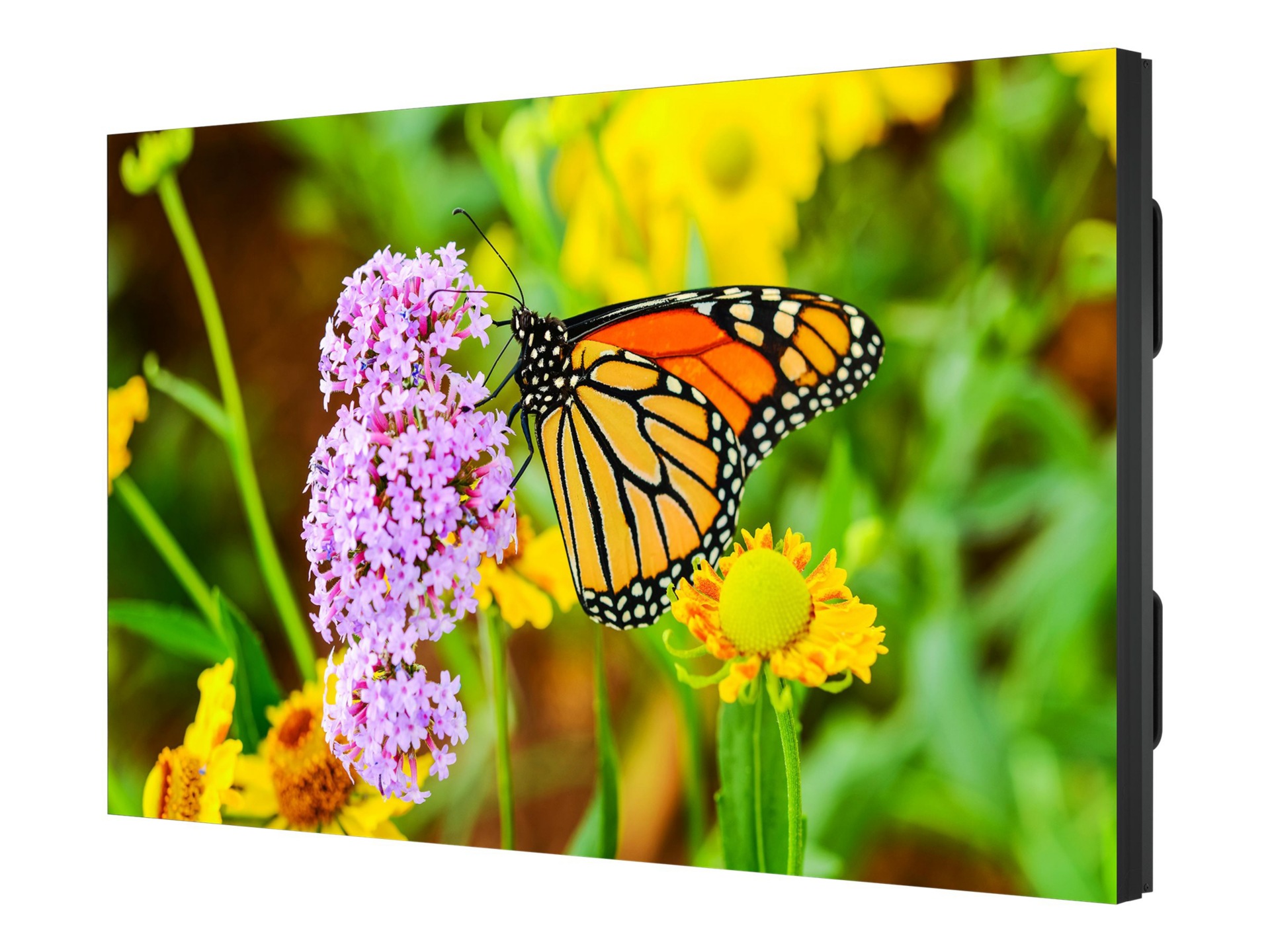 Thumbnail 2 of 8 for NEC MultiSync UN552S 55" LED-backlit LCD display - Full HD - for digital signage