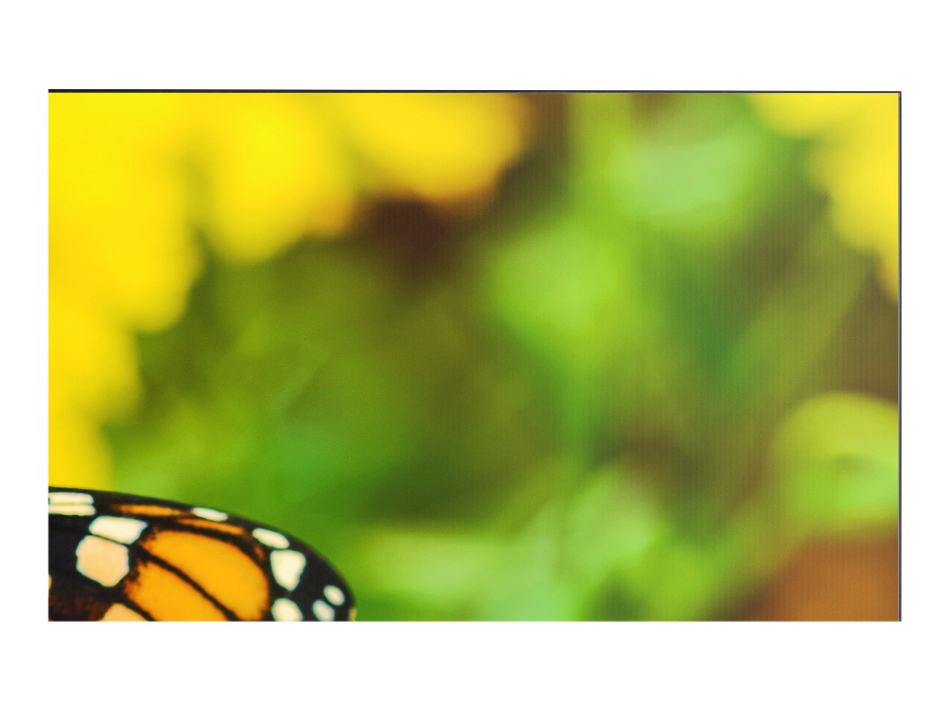 Thumbnail 4 of 8 for NEC MultiSync UN552S 55" LED-backlit LCD display - Full HD - for digital signage