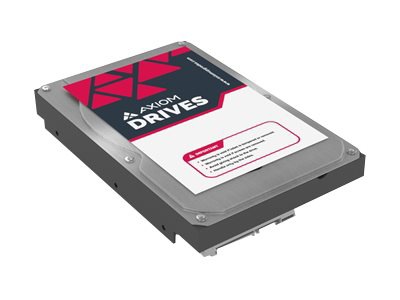 Axiom Bare Drive - hard drive - Enterprise - 2 TB - SATA 6Gb/s