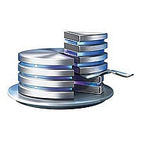 Acronis Disk Director Server (v. 12.5) - Technician License Subscription (r