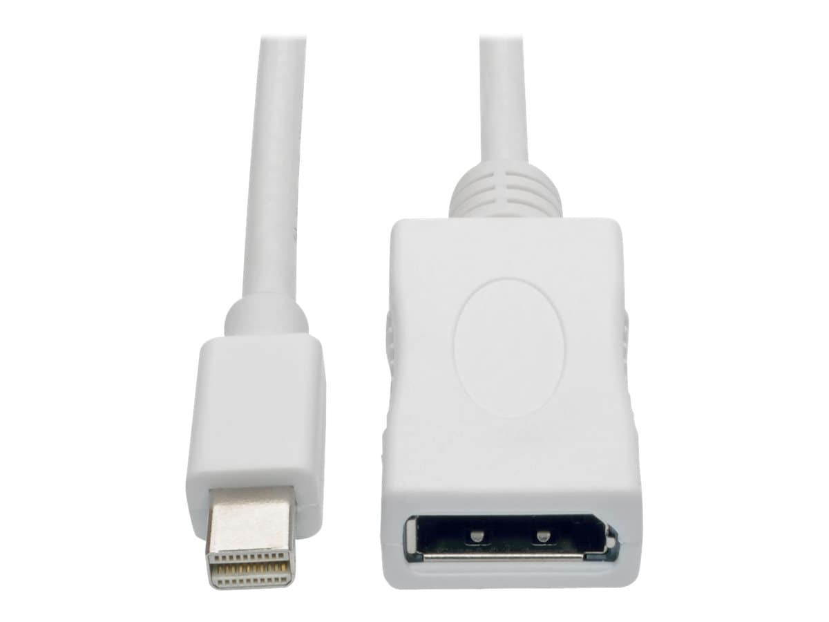 Tripp Lite 6ft Mini DisplayPort 1.2a to DisplayPort Cable Adapter and Video