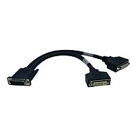 Tripp Lite 1' DMS-59 Graphics Card to Dual DVI Splitter Y Cable