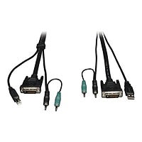 Tripp Lite 10ft Cable Kit for DVI / USB / Audio Secure KVM Switches 10' - video / USB / audio cable - 3 m