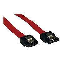 Tripp Lite 19in Serial ATA SATA Latching Signal Cable 7Pin / 7Pin M/M 19" - câble SATA - 0.5 m