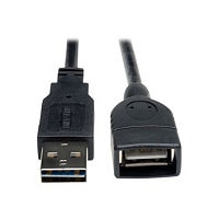 Tripp Lite 10ft USB 2.0 Hi-Speed Ext Universal Reversible Cable M/F 10'