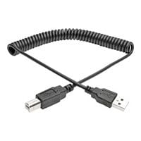 Eaton Tripp Lite Series USB 2.0 A to B Coiled Cable (M/M), 10 ft. (3.05 m) - USB cable - USB to USB Type B - 3.1 m