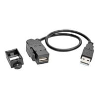 Eaton Tripp Lite Series USB 2.0 All-in-One Keystone/Panel Mount Extension Cable (M/F), Angled Connector, 1 ft. (0,31 m)