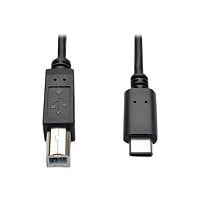Eaton Tripp Lite Series USB-C to USB-B Cable - USB 2.0, (M/M), 6 ft. (1,83