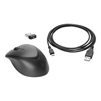 HP Premium - mouse - 2.4 GHz - black - Smart Buy