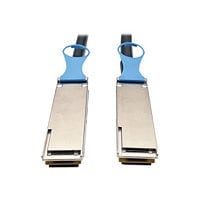 Eaton Tripp Lite Series QSFP28 to QSFP28 100GbE Passive DAC Copper InfiniBand Cable (M/M), 0,5 m (20 in.) - InfiniBand