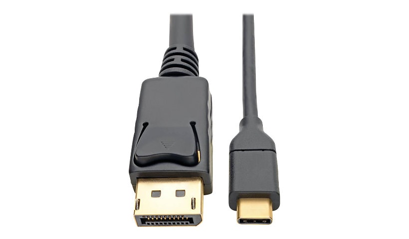 Tripp Lite USB-C to DisplayPort Cable, 4K @ 60Hz, Thunderbolt 3, USB Type C, USB-C, USB Type-C, 6' 6ft. - video adapter