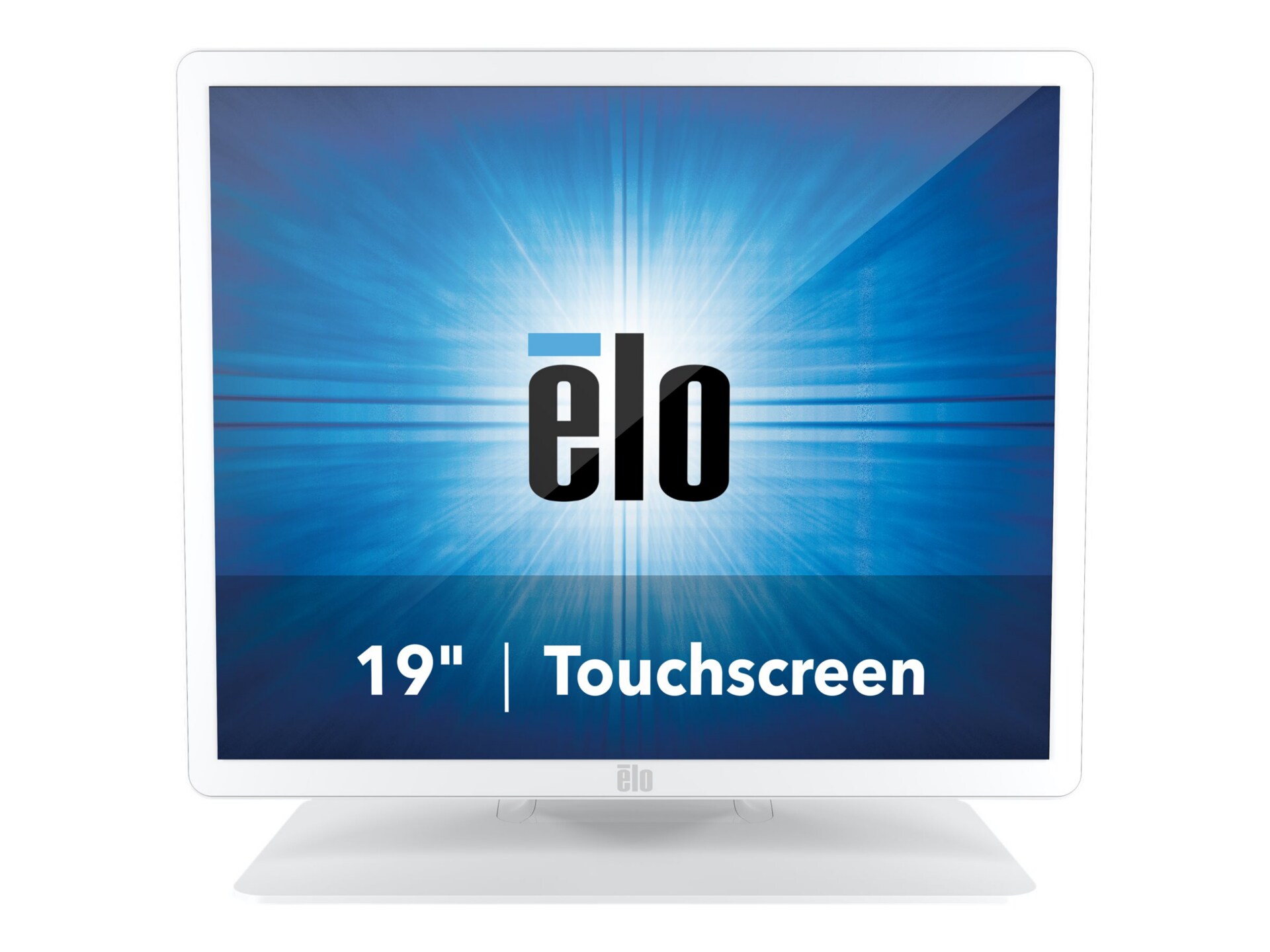 Elo 1903LM - LCD monitor - 19"