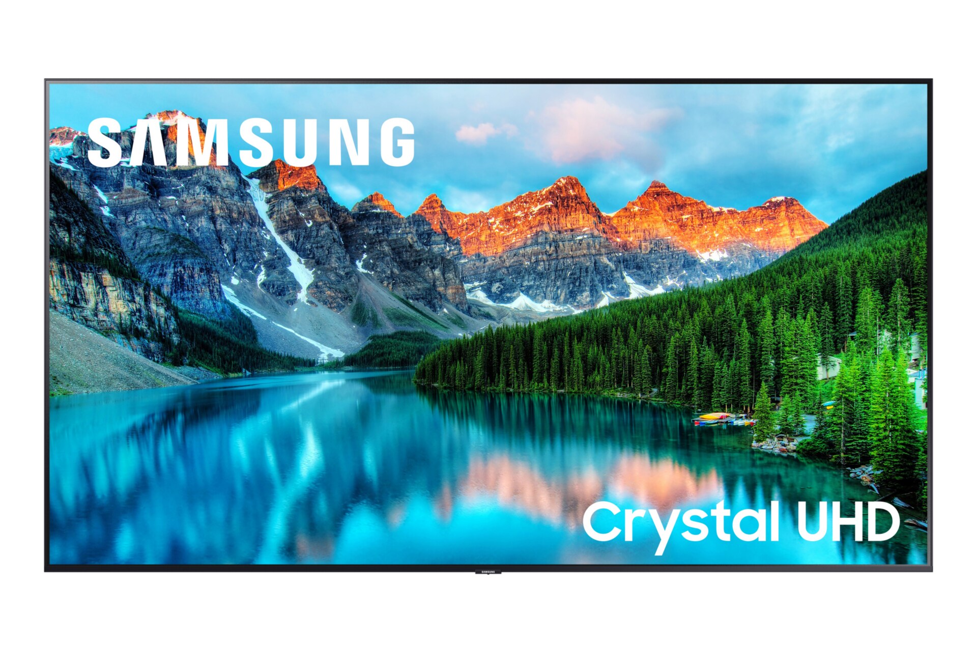 Samsung BE65T-H BET-H Pro Series 65" LED-backlit LCD TV - 4K - for digital signage - BE65T-H - TVs -
