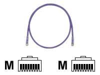 Panduit TX6 PLUS patch cable - 30 cm - violet