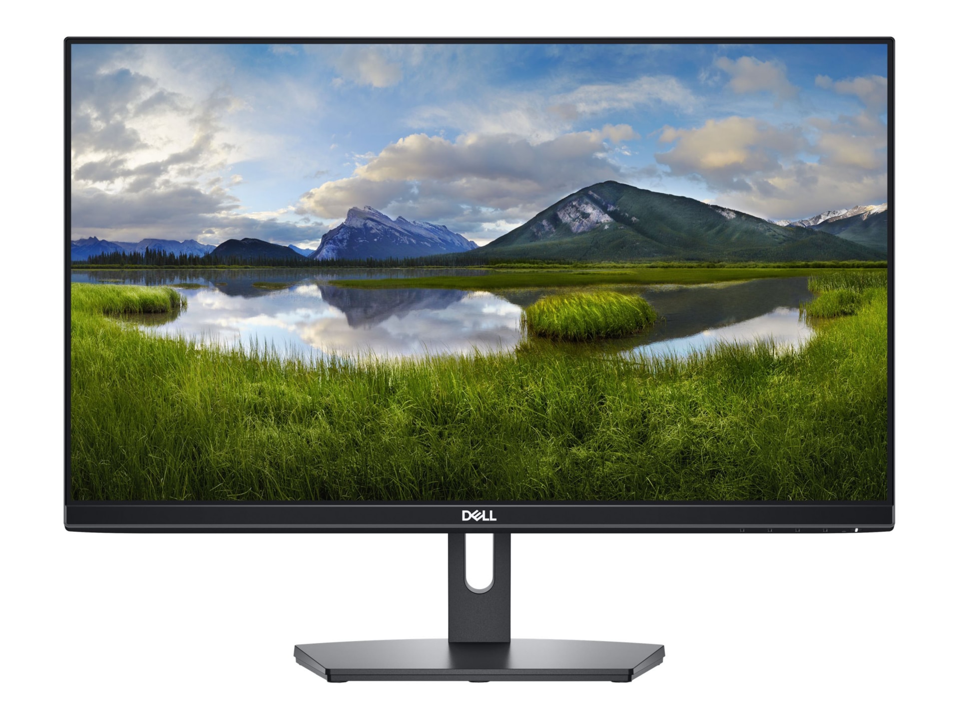 Dell SE2419HR - LED monitor - Full HD (1080p) - 24"