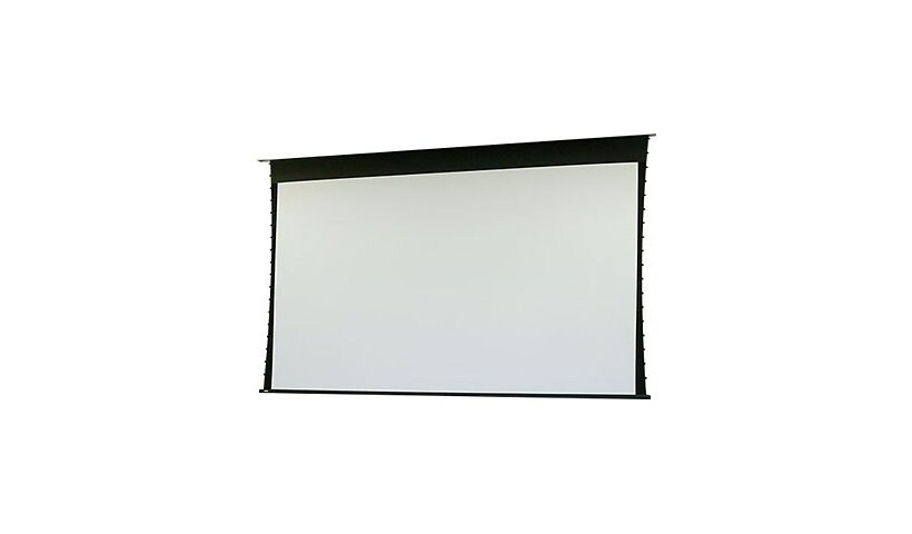 Draper Access/Series V projection screen - 133" (133 in)