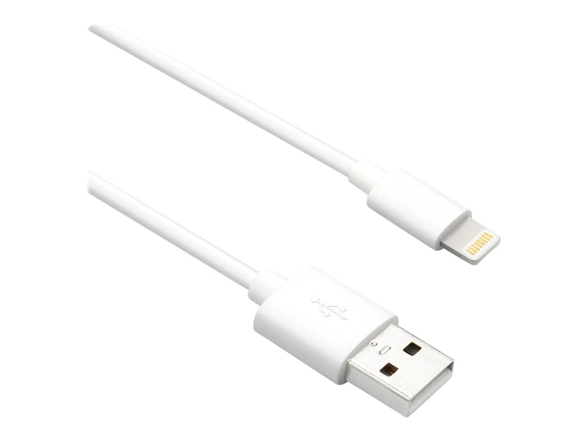 Axiom Lightning cable - Lightning / USB 2.0 - 3 ft