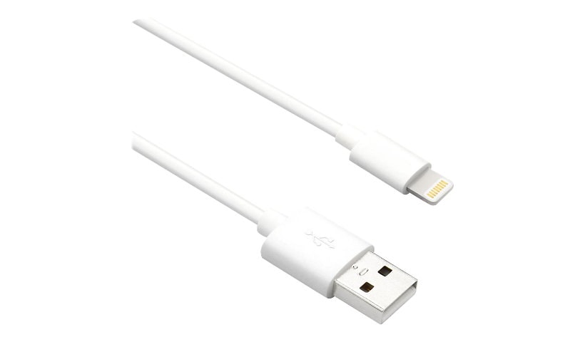 Axiom Lightning cable - Lightning / USB 2.0 - 6 ft