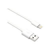 Axiom Lightning cable - Lightning / USB 2.0 - 6 ft