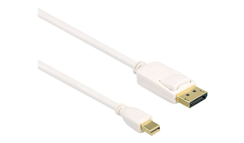 Axiom DisplayPort cable - 15 ft