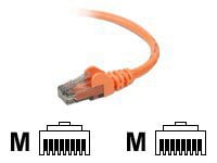 Belkin Cat6 30ft Orange Ethernet Patch Cable, UTP, 24 AWG, Snagless, Molded, RJ45, M/M, 30'
