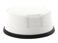 Panorama Antennas LG-IN2446 Antenna