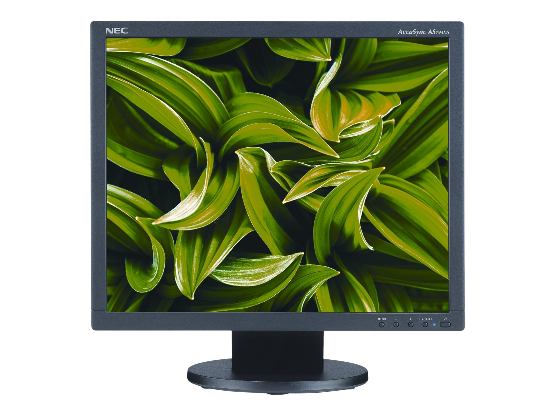 NEC AccuSync AS194Mi-BK - LED monitor - 19"