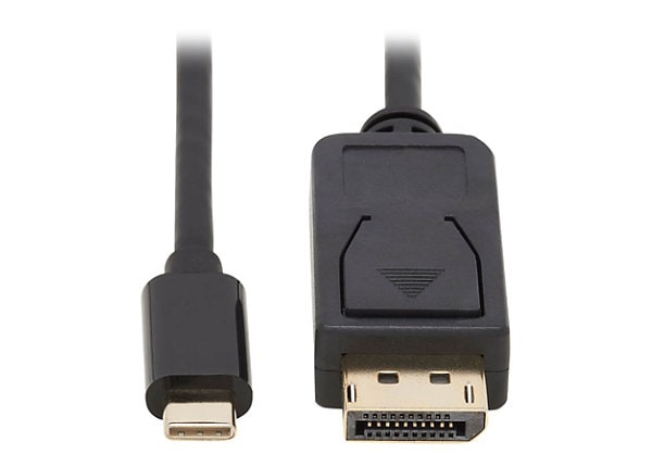 Fascineren Historicus eerste Tripp Lite USB C to DisplayPort Adapter Cable, Bi-Directional 4K 60Hz,  Locking DP Connector, HDR, M/M, 6 ft. - - U444-006-DP-BD - USB Adapters -  CDW.com