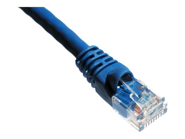 Axiom patch cable - 10 ft - blue