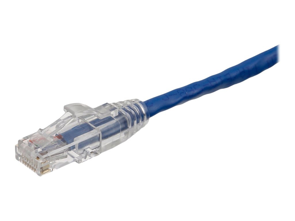 Axiom Cat6 550 MHz Snagless Patch Cable - patch cable - 9.1 m - blue