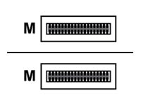 Proline Palo Alto Networks Compatible TAA Compliant 40GBase-AOC QSFP+ to QSFP+ Active Optical Cable (850nm, MMF, 20m)