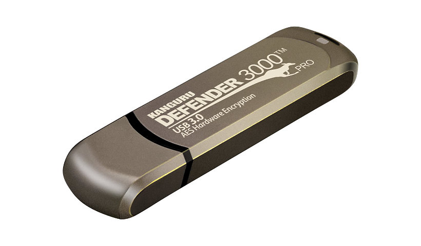 Kanguru Encrypted Defender 3000 - USB flash drive - 256 GB - TAA Compliant