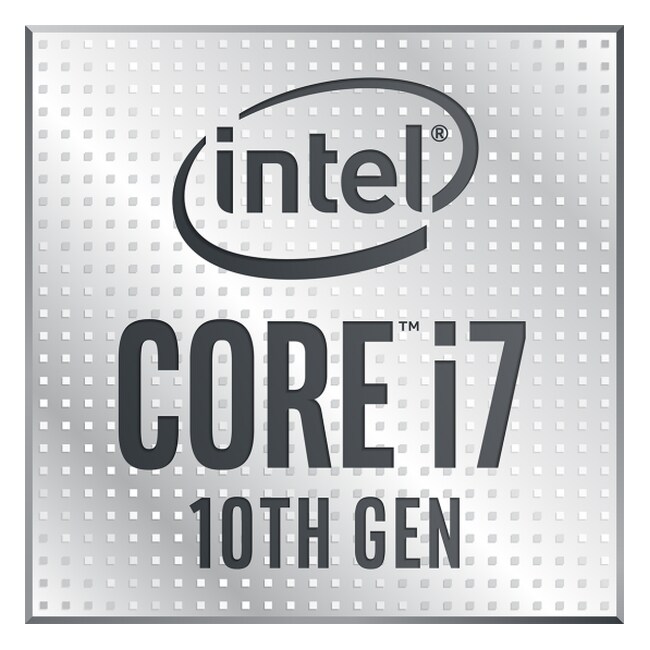 Intel Core i7 10710U / 1.1 GHz processor (mobile)