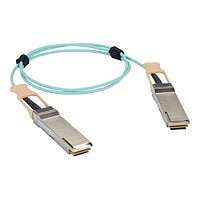 Black Box QSFP28 100Gbase-AOC Cisco QSFP-100G-AOC7M Active Optical Cable-7M