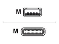 Huddly - USB cable - USB Type A to 24 pin USB-C - 6.6 ft