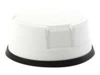 Panorama Antennas LP-IN2443 Antenna