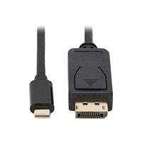 Tripp Lite USB C to DisplayPort Adapter Cable Bi-Directional 4K M/M 6ft