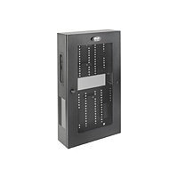 Tripp Lite Wallmount Rack Enclosure 5U Vertical Low-Profile Switch-Depth Adjustable Brackets - rack enclosure cabinet -