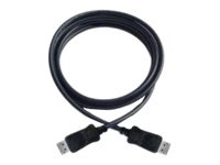 Barco - DisplayPort cable - DisplayPort to DisplayPort