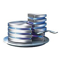 Acronis Disk Director Server (v. 12.5) - license + 1 Year Advantage Premier