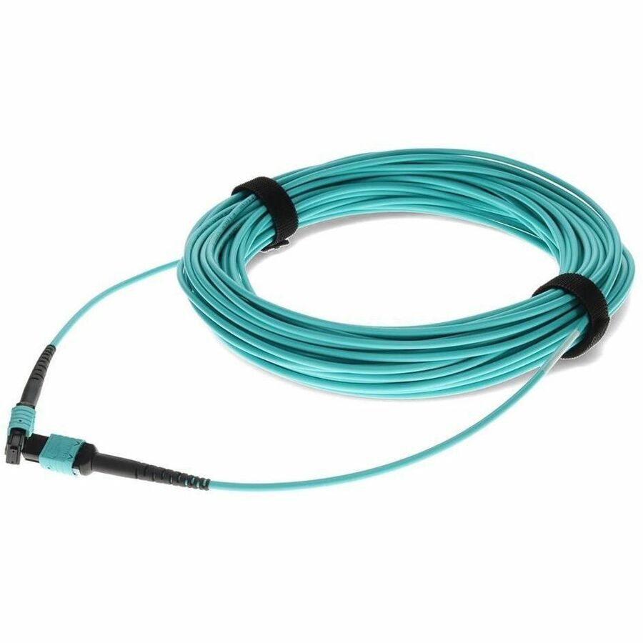 Proline 20m MPO/UPC to MPO/UPC Aqua OM4 OFNP (Plenum-Rated) 12-Strand Fiber Patch Cable