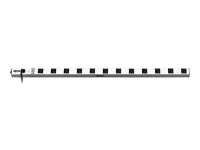 Eaton Tripp Lite Series Power Strip 120V 5-15R 12 Outlet 15' Cord Vertical Metal 0URM - unité de distribution d'alimentation