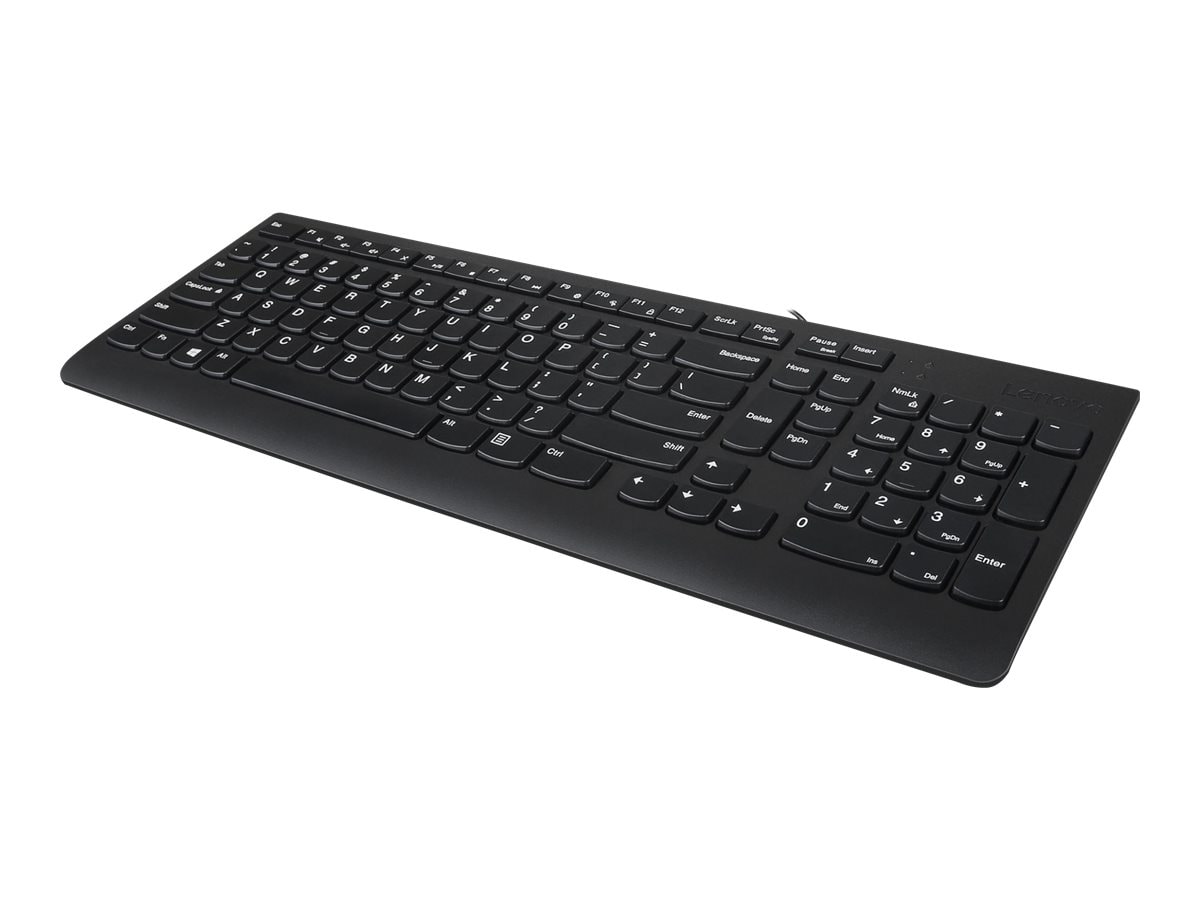 Lenovo 300 - keyboard - US Input Device