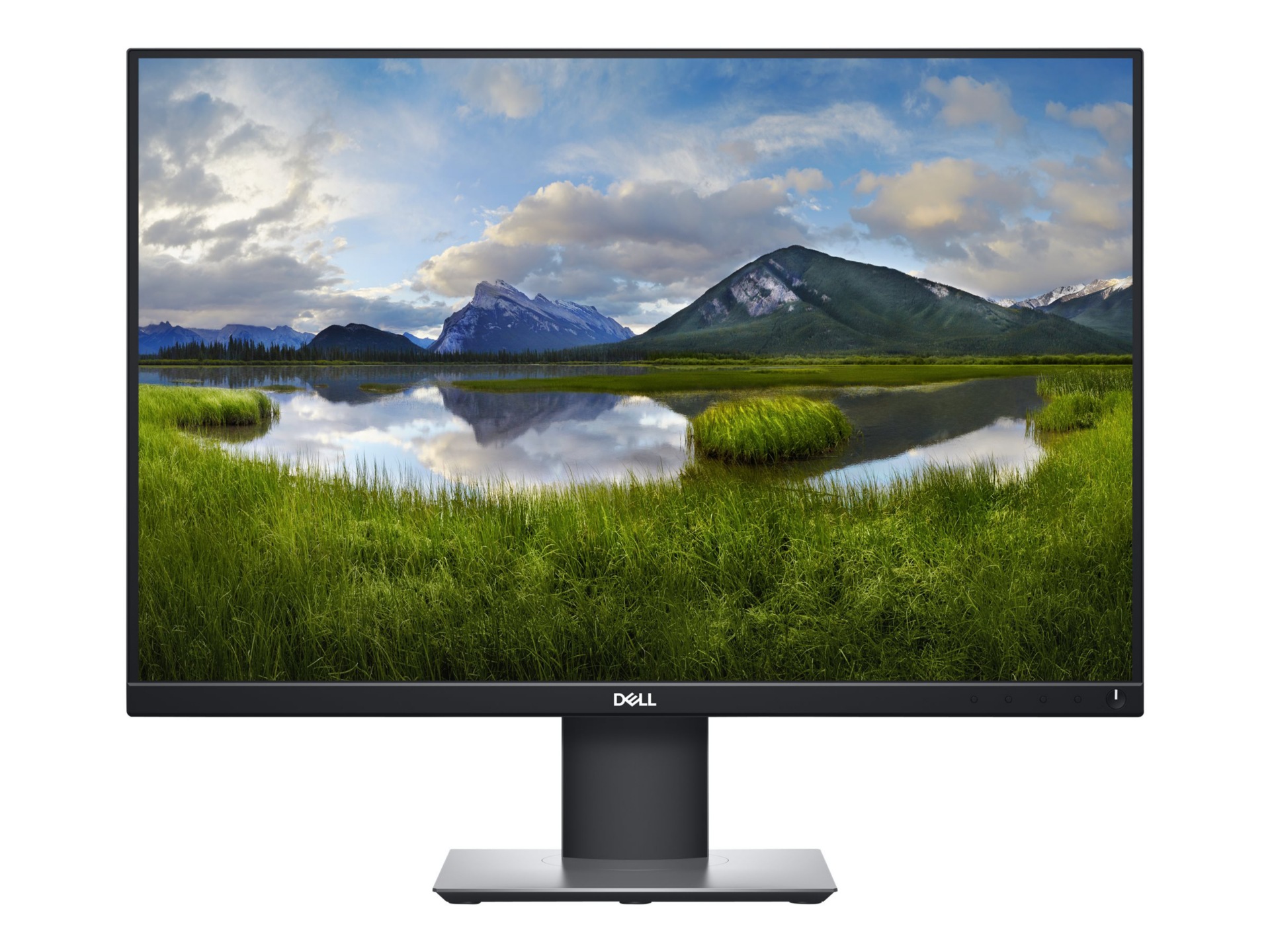DELL 24IN PROFESSIONAL MONITOR P2421
