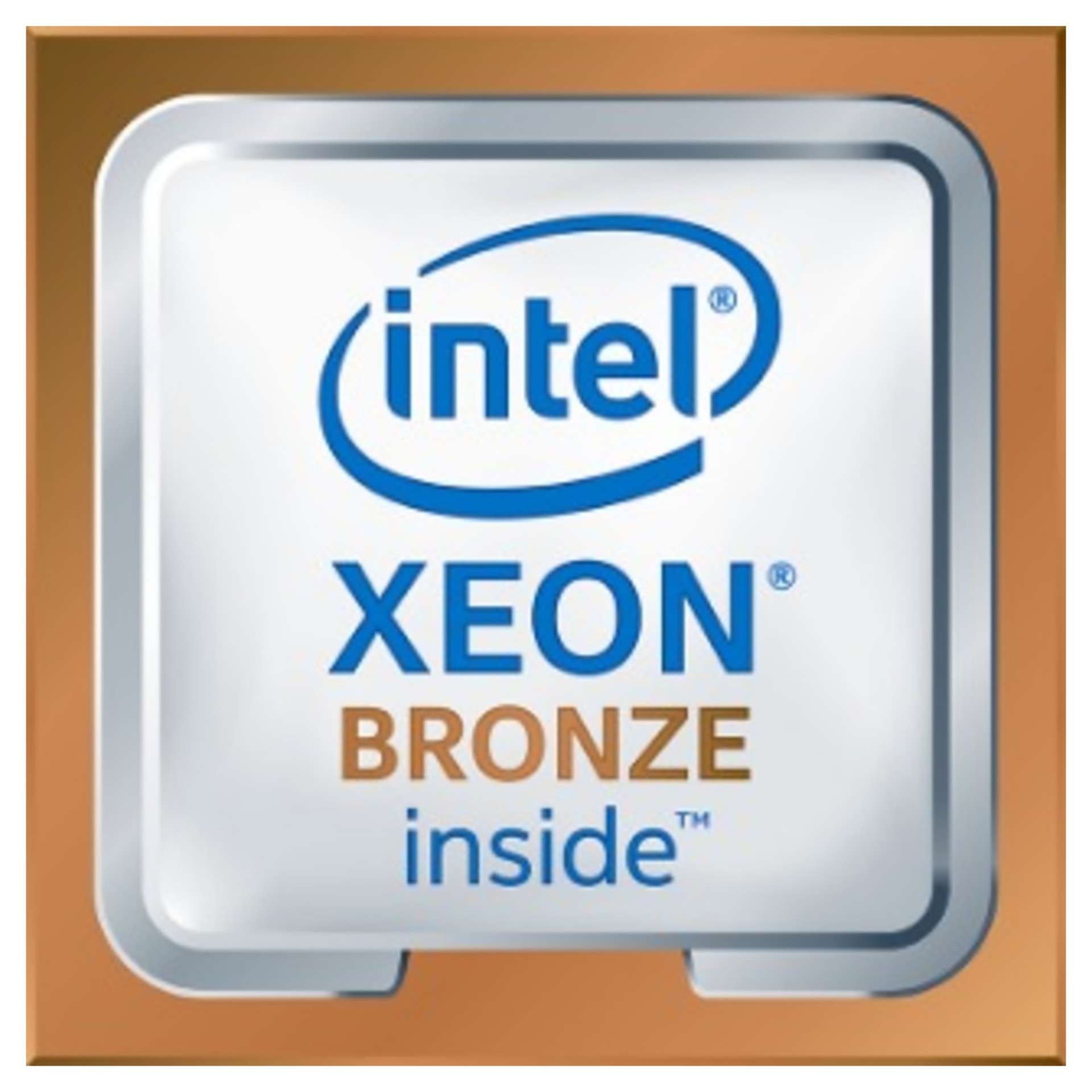 Intel Xeon Bronze 3206R / 1.9 GHz processor