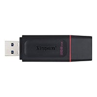 Kingston DataTraveler Exodia - USB flash drive - 256 GB