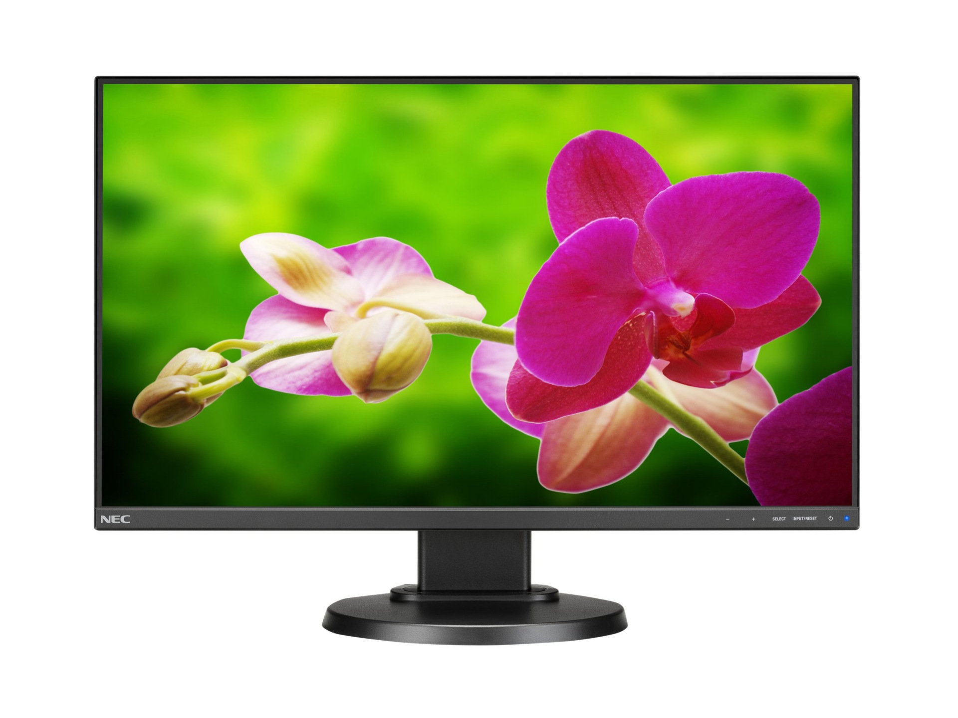 NEC MultiSync E242N-BK - E Series - LED monitor - Full HD (1080p) - 24"