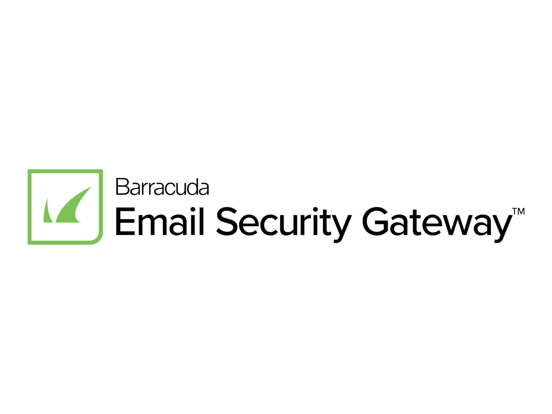 Barracuda Email Security Gateway - subscription license (1 month) - 1 user
