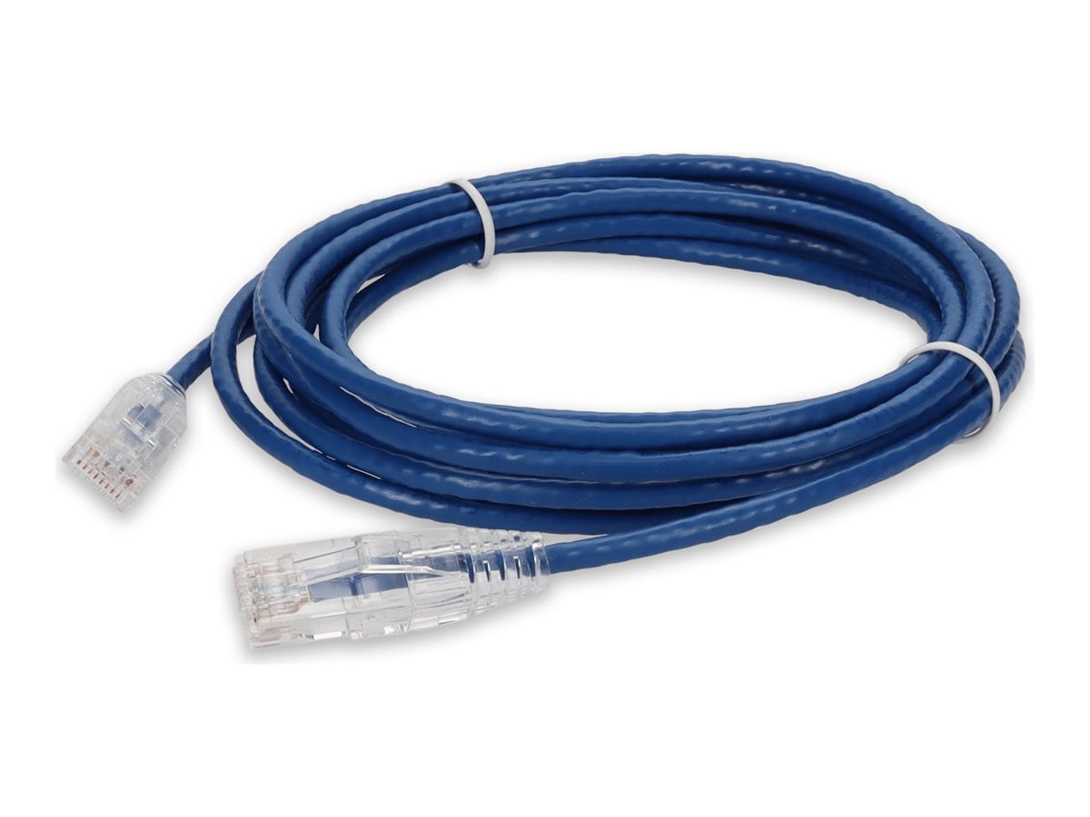 Proline patch cable - 2 ft - blue