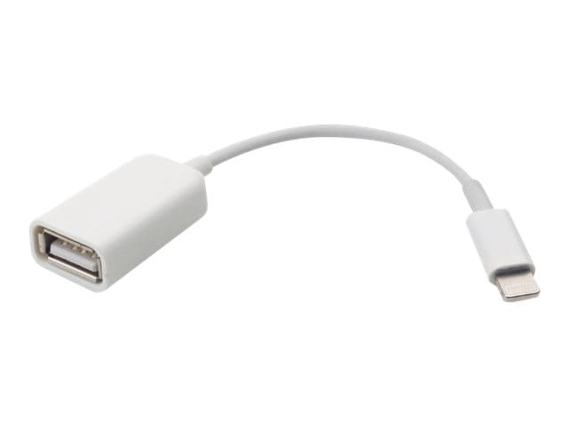 Vægt forpligtelse politik 4XEM Lightning adapter - Lightning / USB 2.0 - 5.5 in - 4XLIGHTNINGUSBF - USB  Adapters - CDW.com